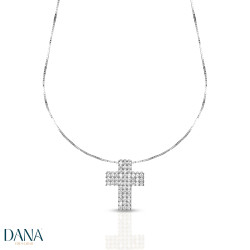 Dana Prisma