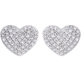 Earrings Ambrosia AAO238