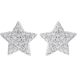 Earrings Ambrosia AAO240