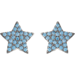 Earrings Ambrosia AAO241