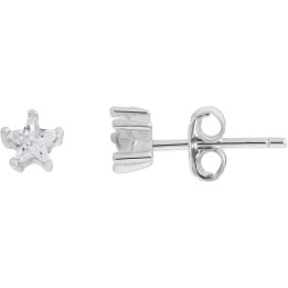 Earrings Ambrosia AAO233