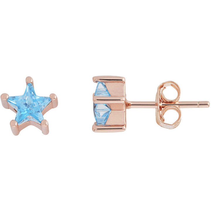 Earrings Ambrosia AAO235