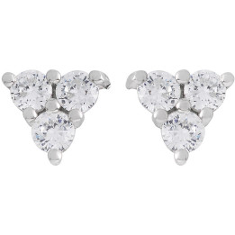Earrings Ambrosia AAO236