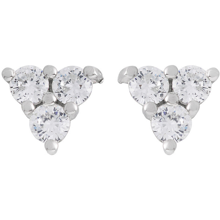 Earrings Ambrosia AAO236