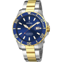 Watches Festina Automatic Watch F20532/1