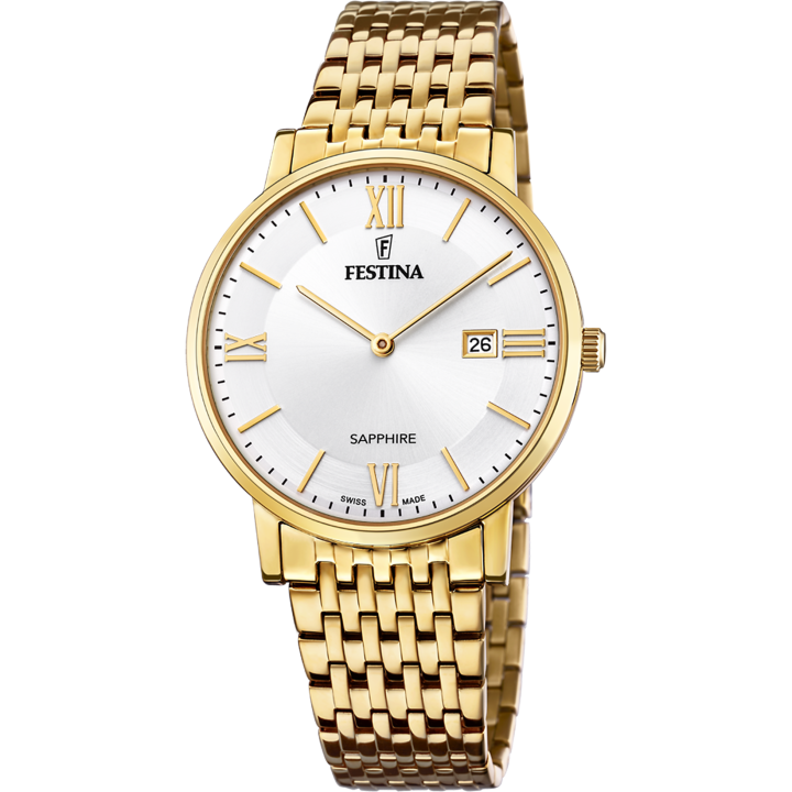 Watches Festina Swiss Watch F20020/1
