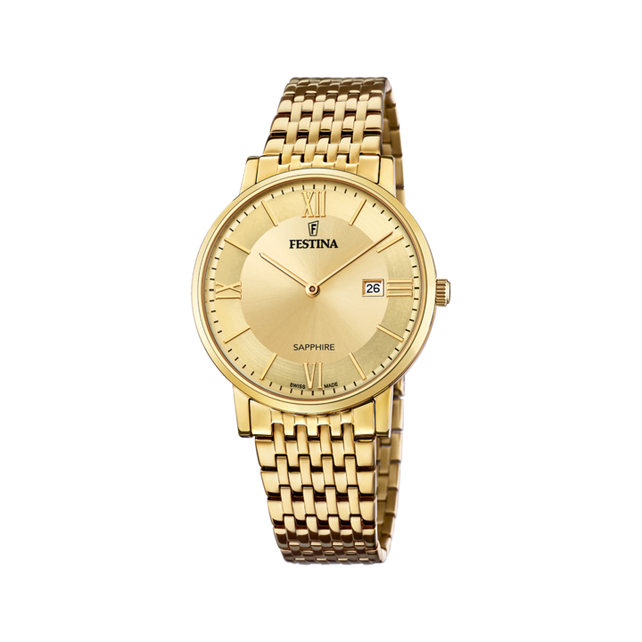 Watches Festina Swiss Watch F20020/2