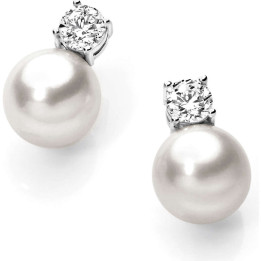 Earrings Ambrosia AOP074